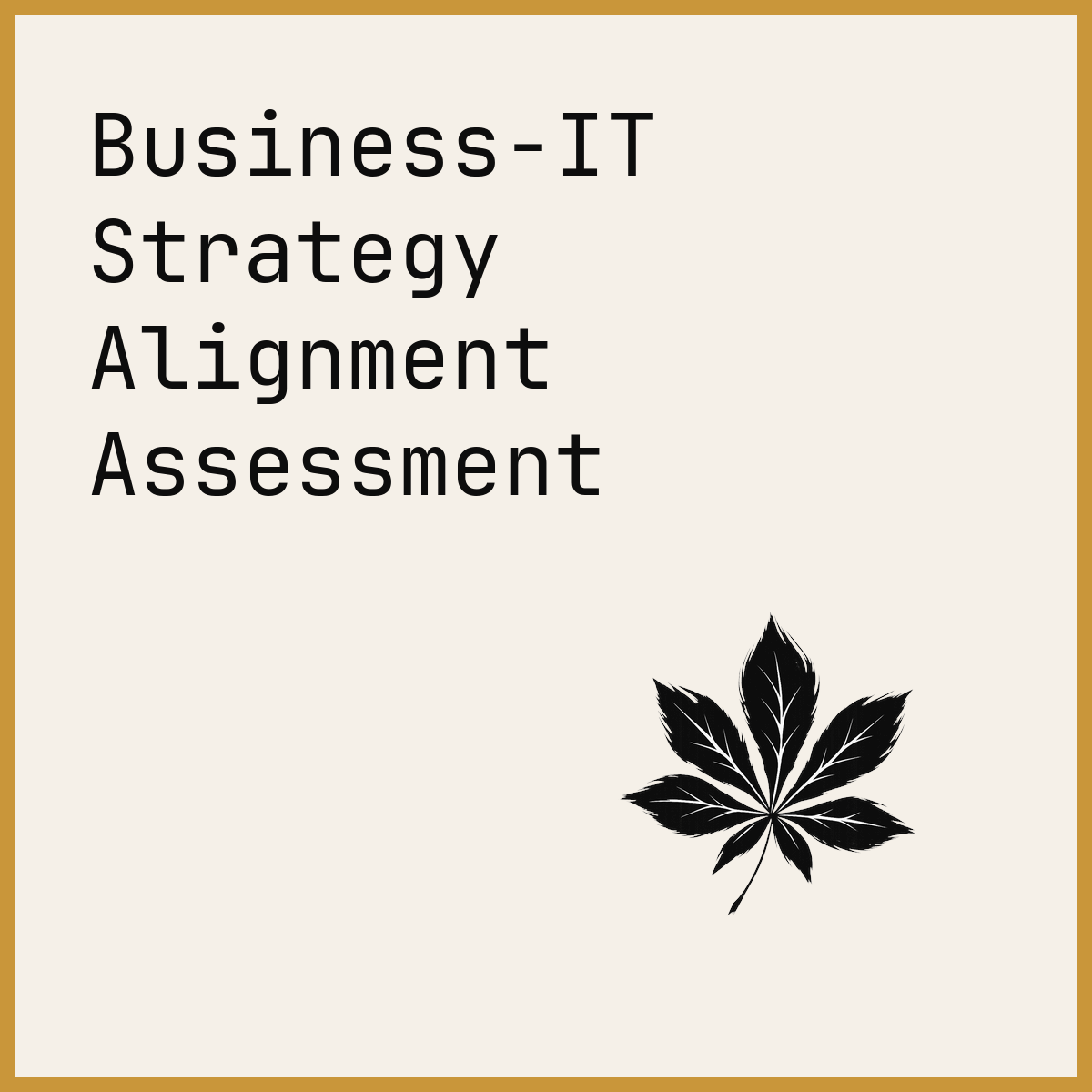 Business-IT Strategy Alignment Assessment