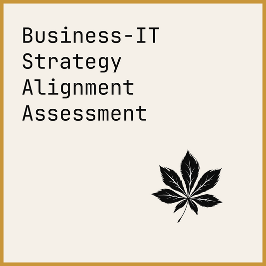 Business-IT Strategy Alignment Assessment