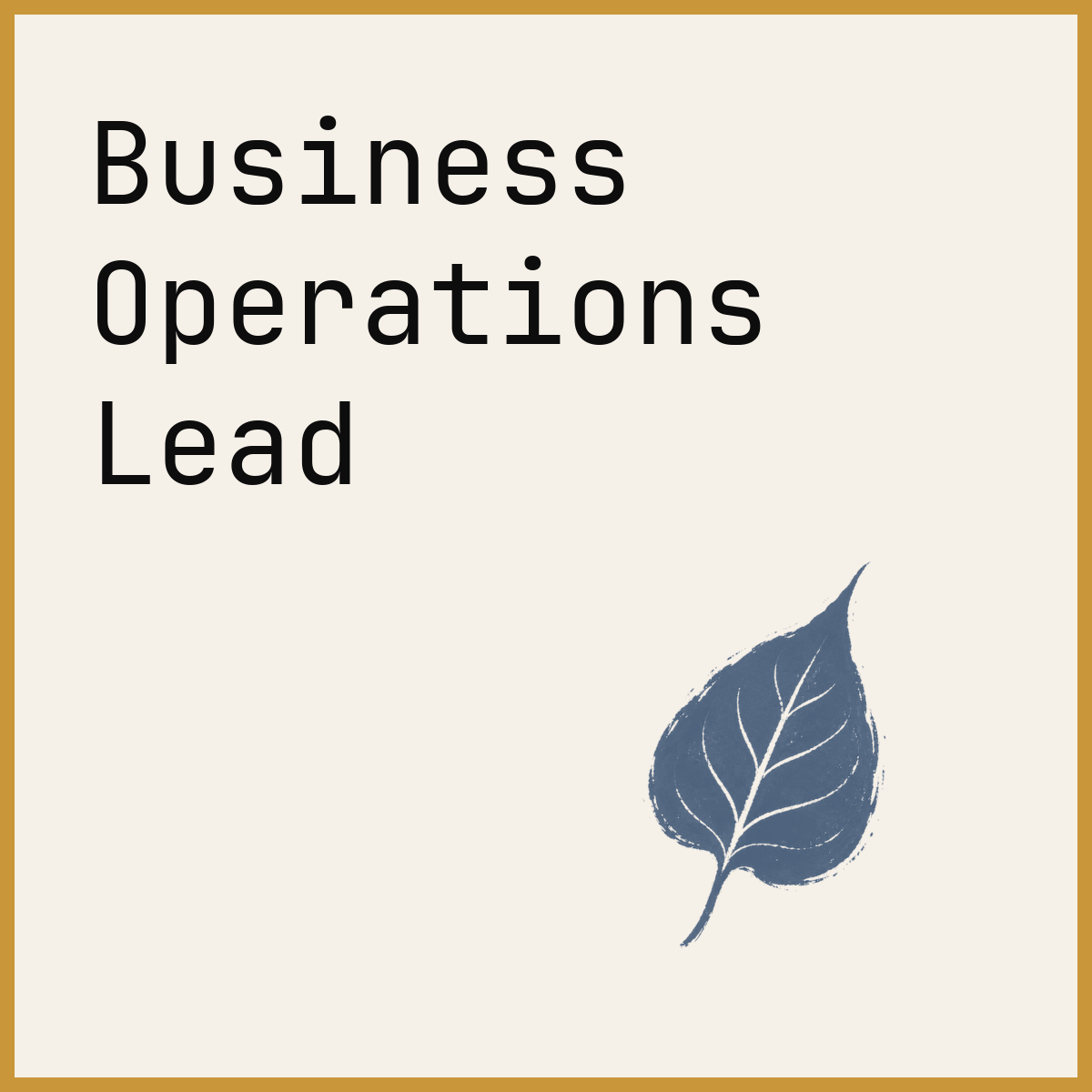 Business Operations Lead
