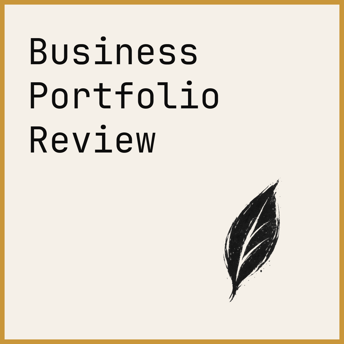Business Portfolio Review