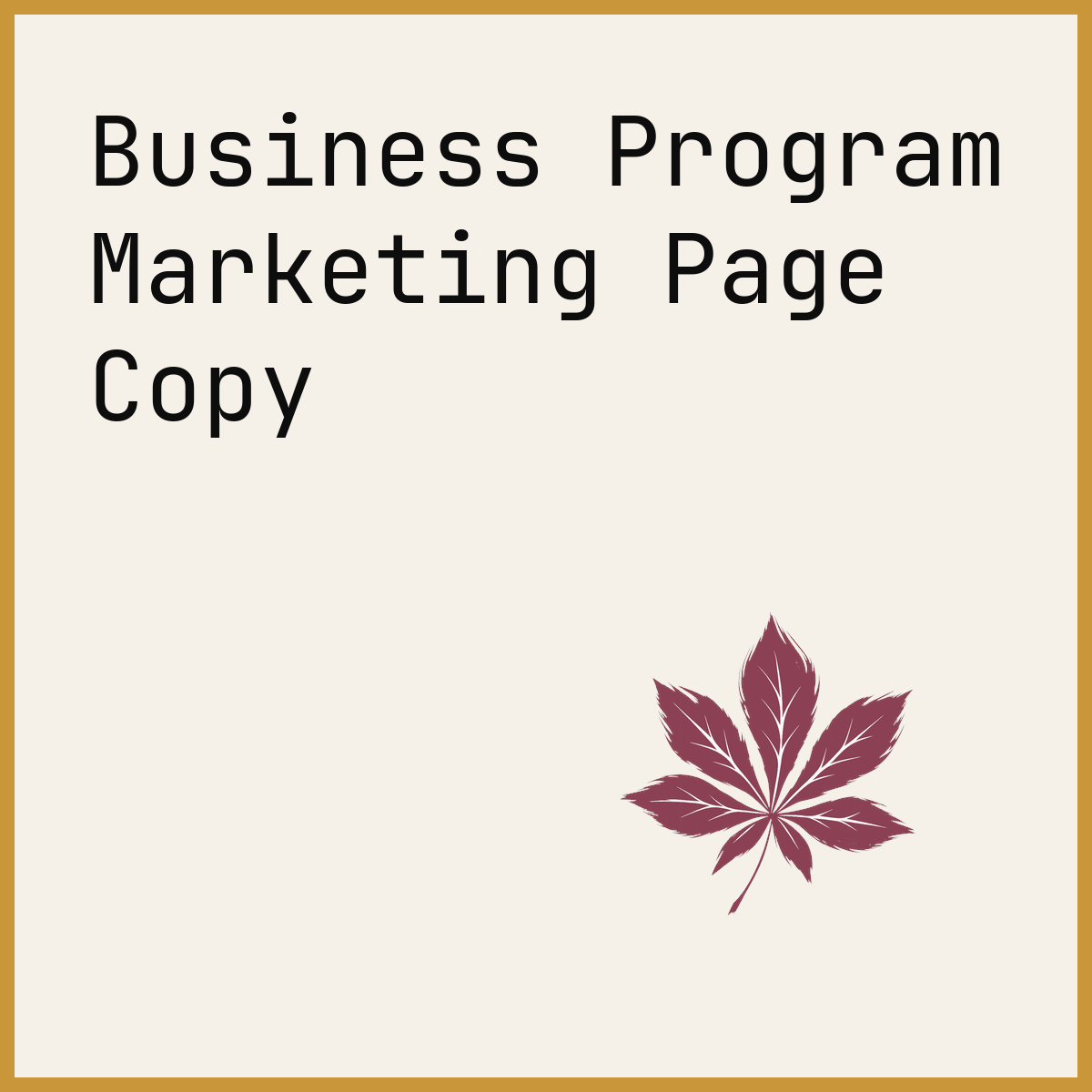 Business Program Marketing Page Copy