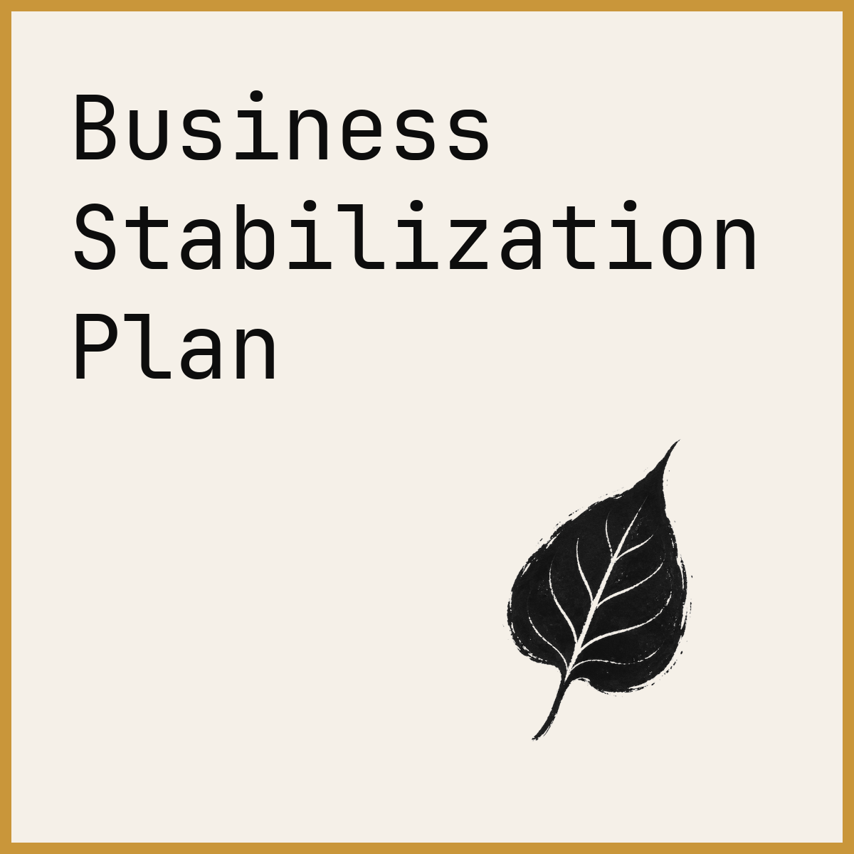 Business Stabilization Plan