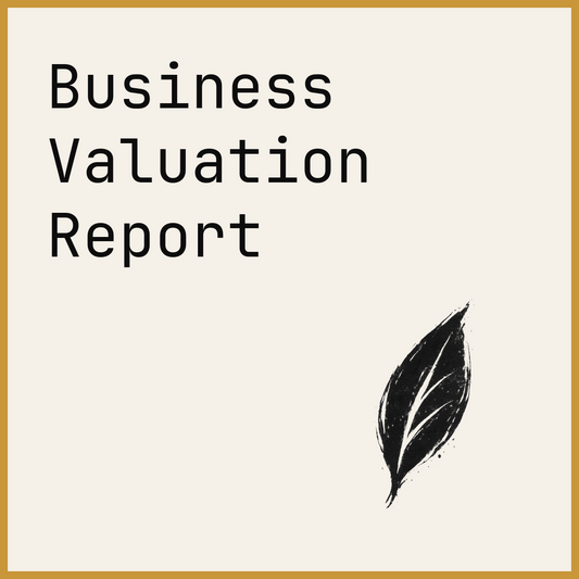 Business Valuation Report
