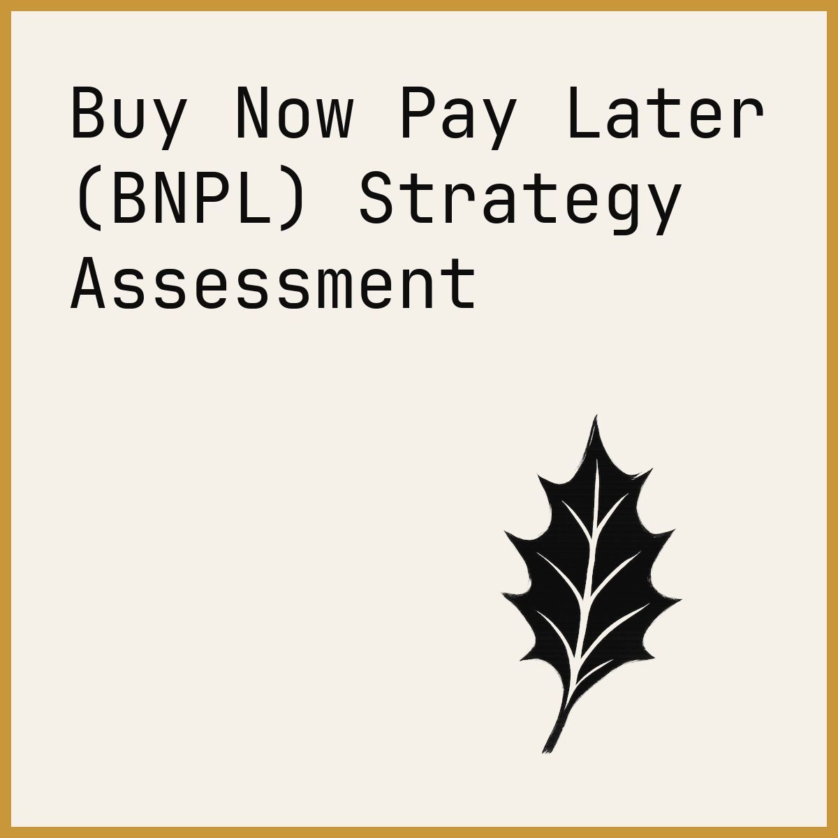 Buy Now Pay Later (BNPL) Strategy Assessment