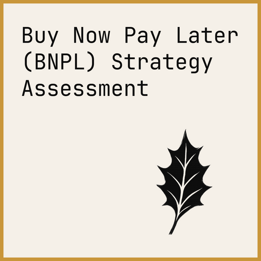 Buy Now Pay Later (BNPL) Strategy Assessment