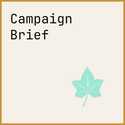 Campaign Brief