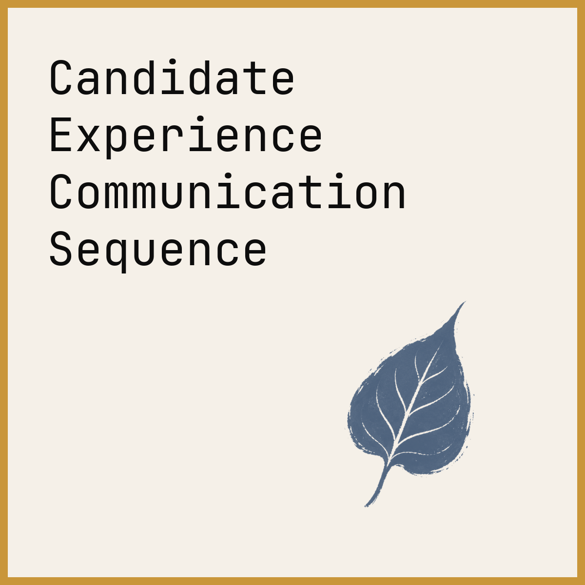 Candidate Experience Communication Sequence