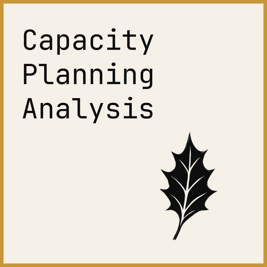 Capacity Planning Analysis