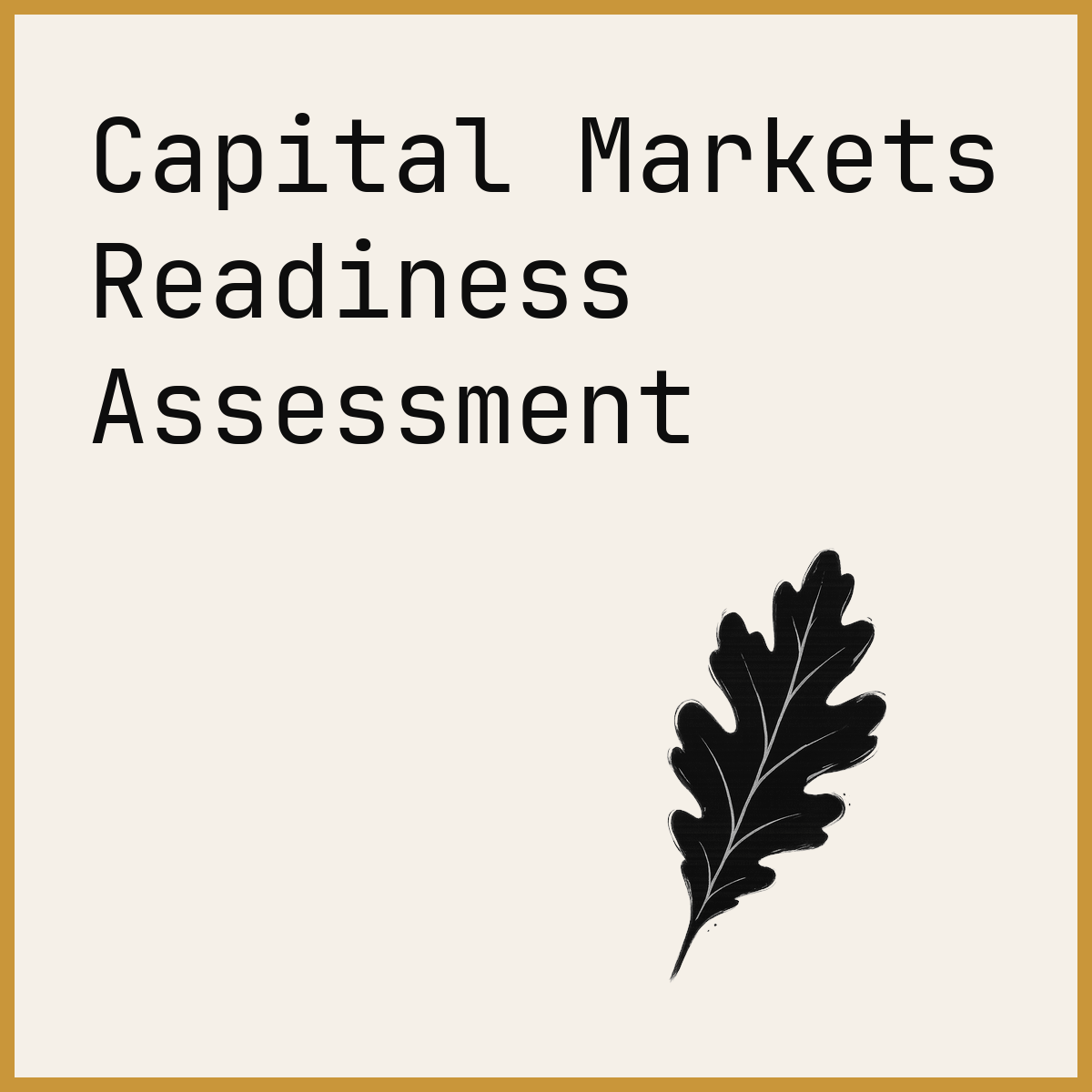 Capital Markets Readiness Assessment