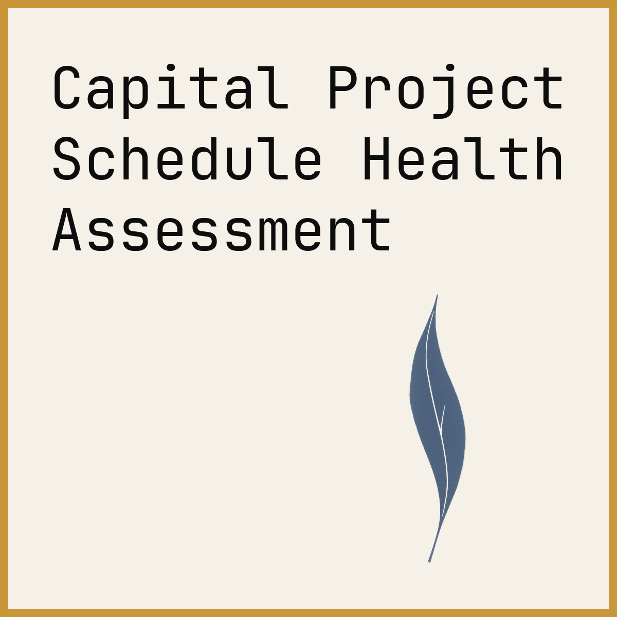 Capital Project Schedule Health Assessment