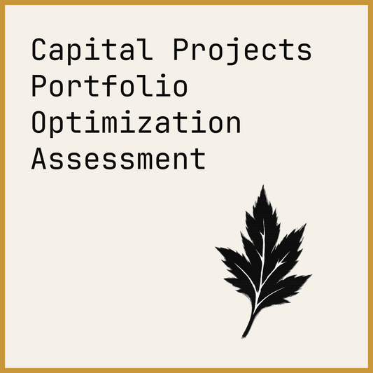 Capital Projects Portfolio Optimization Assessment