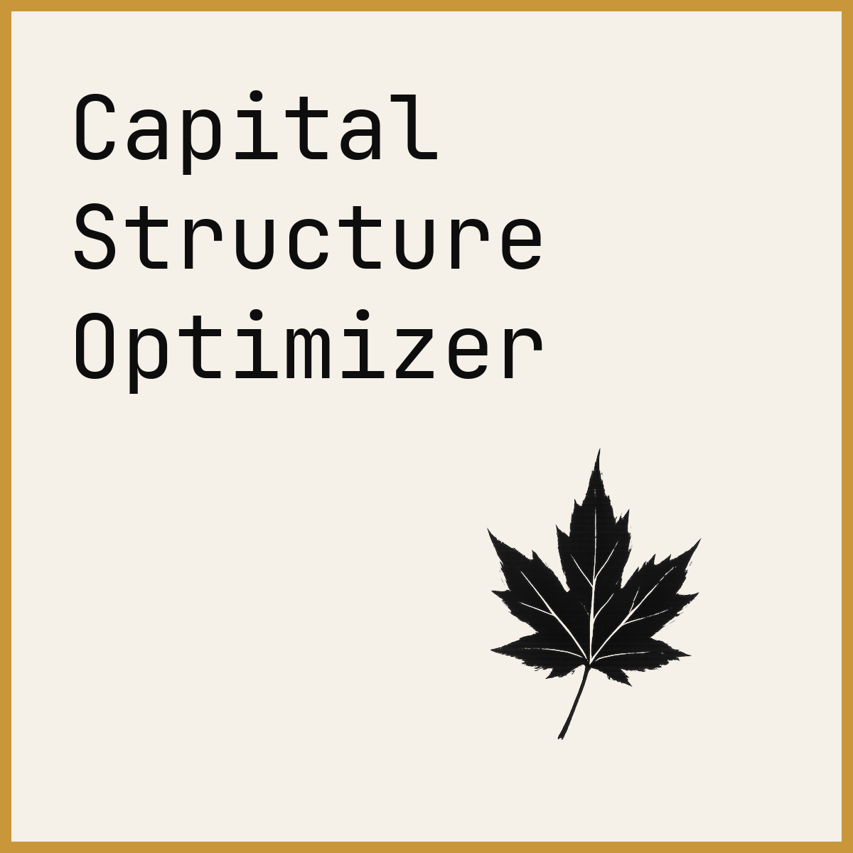 Capital Structure Optimizer