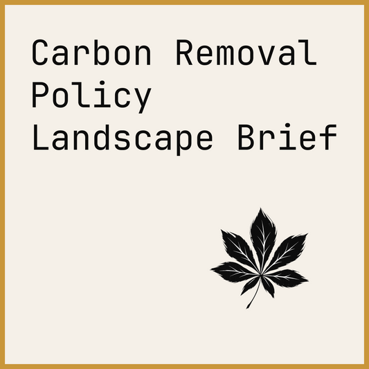 Carbon Removal Policy Landscape Brief