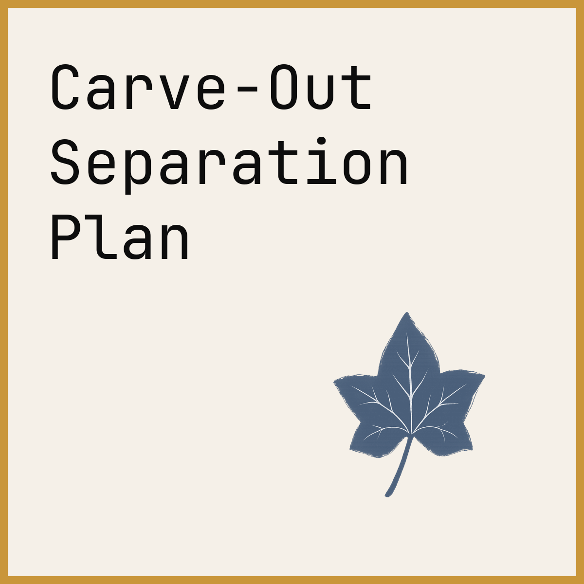 Carve-Out Separation Plan