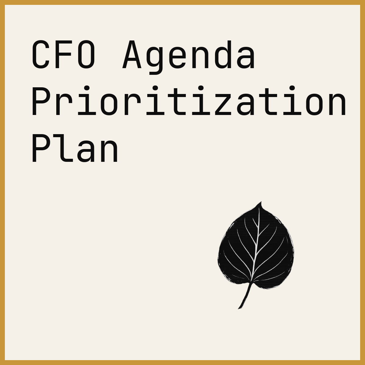 CFO Agenda Prioritization Plan
