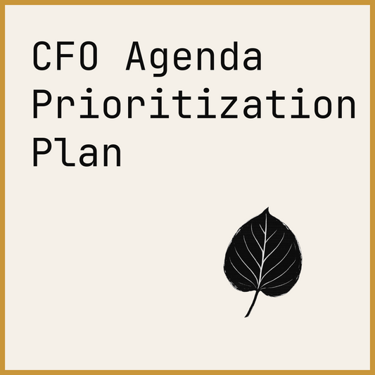CFO Agenda Prioritization Plan