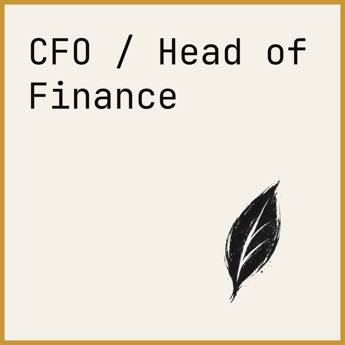 CFO / Head of Finance
