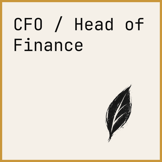 CFO / Head of Finance