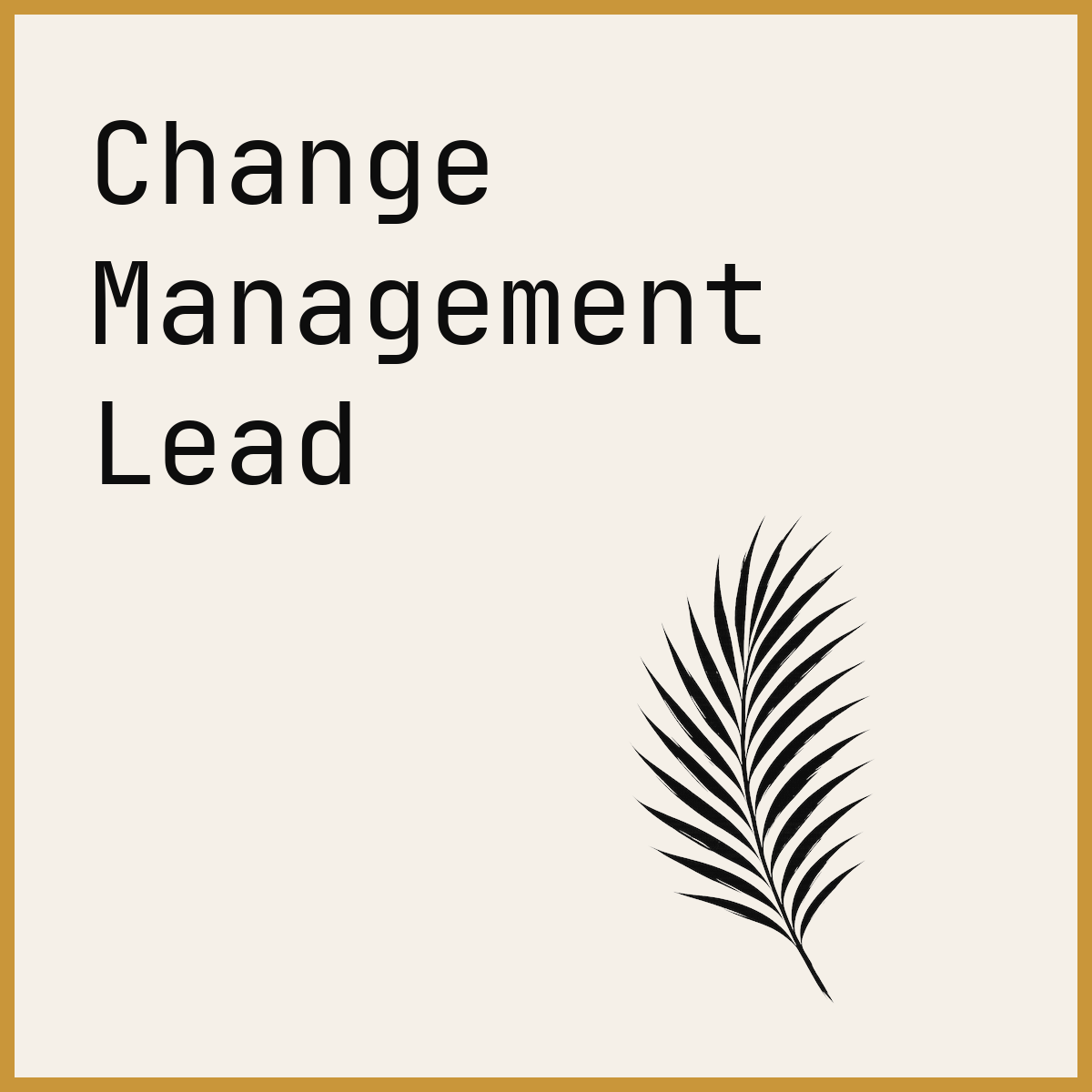 Change Management Lead