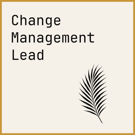 Change Management Lead