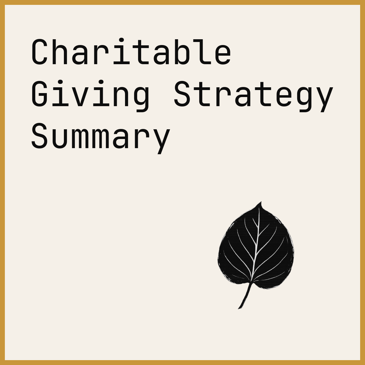 Charitable Giving Strategy Summary