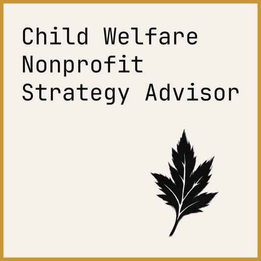 Child Welfare Nonprofit Strategy Advisor