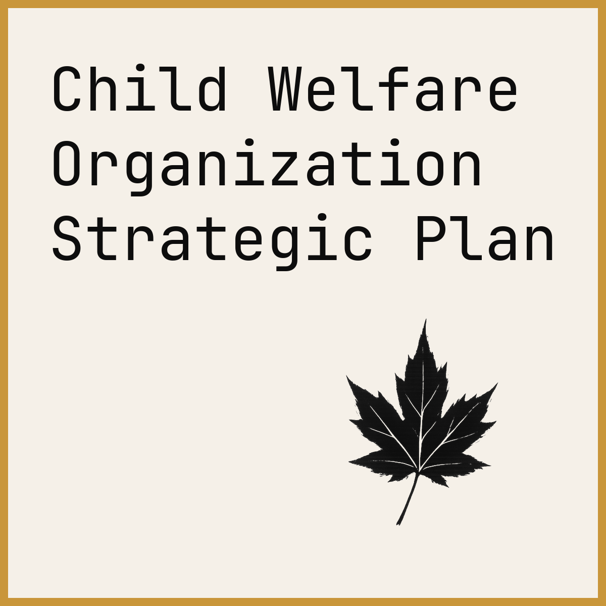 Child Welfare Organization Strategic Plan