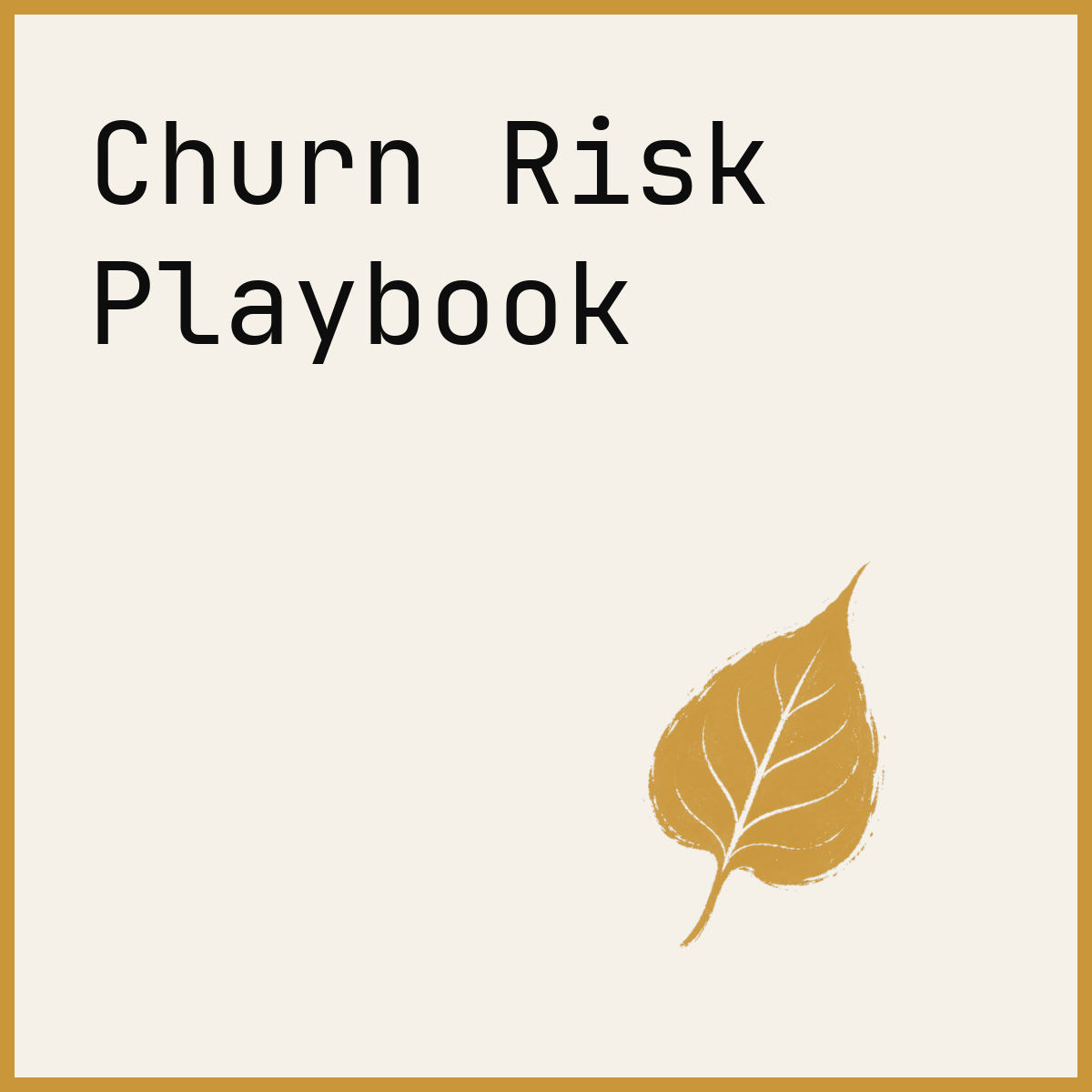 Churn Risk Playbook