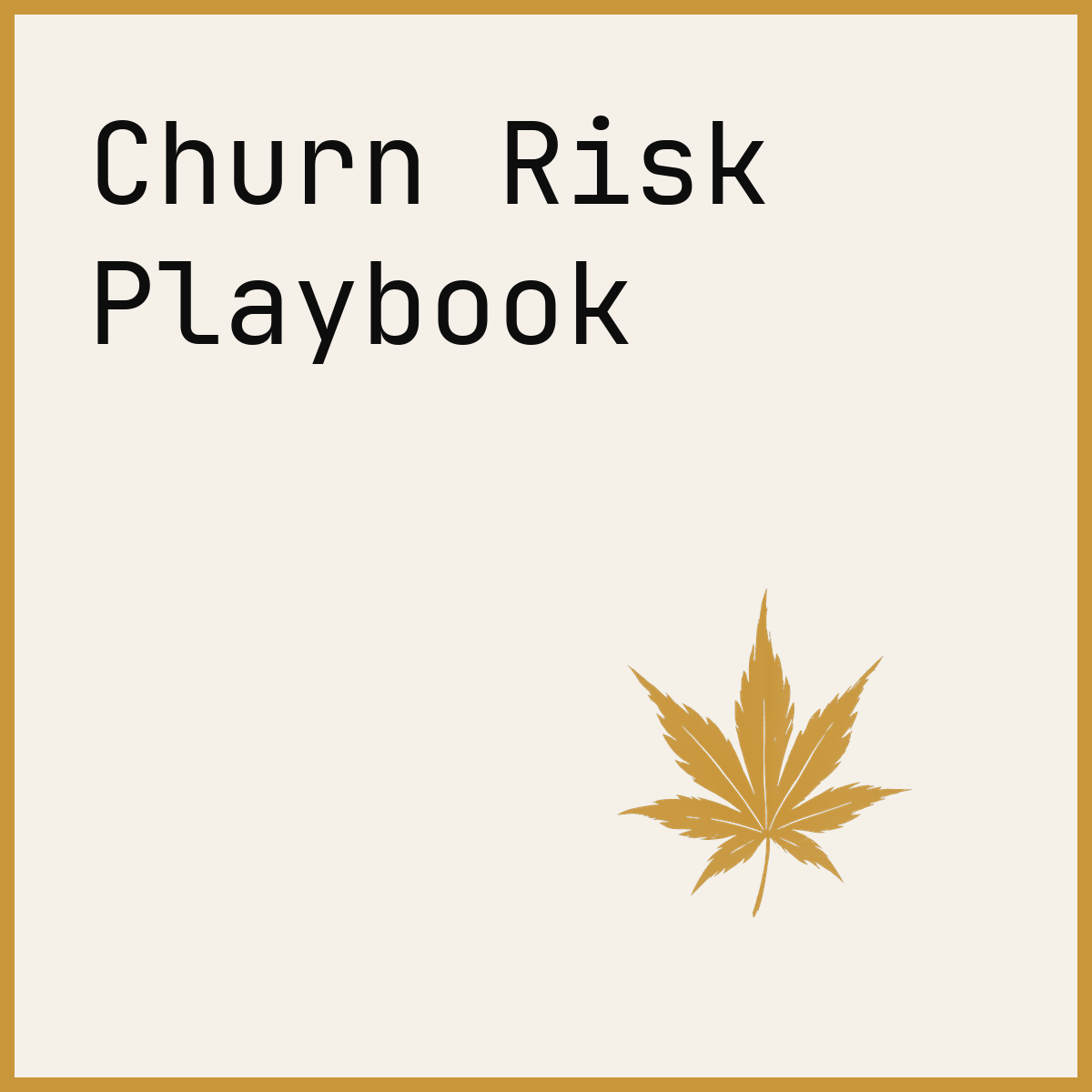 Churn Risk Playbook