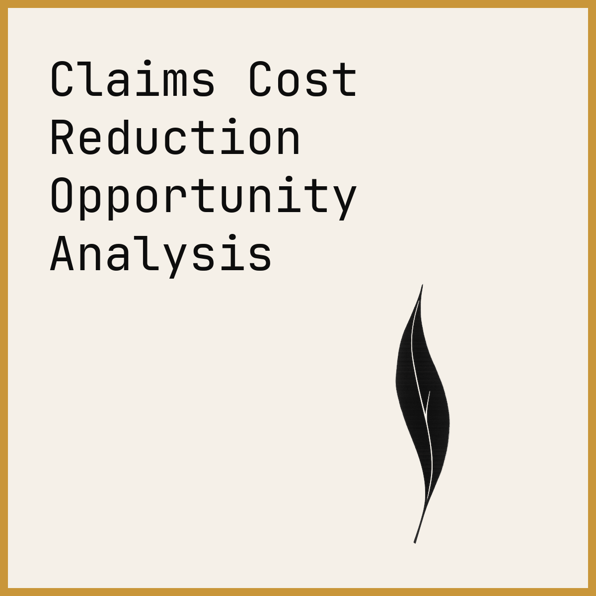 Claims Cost Reduction Opportunity Analysis