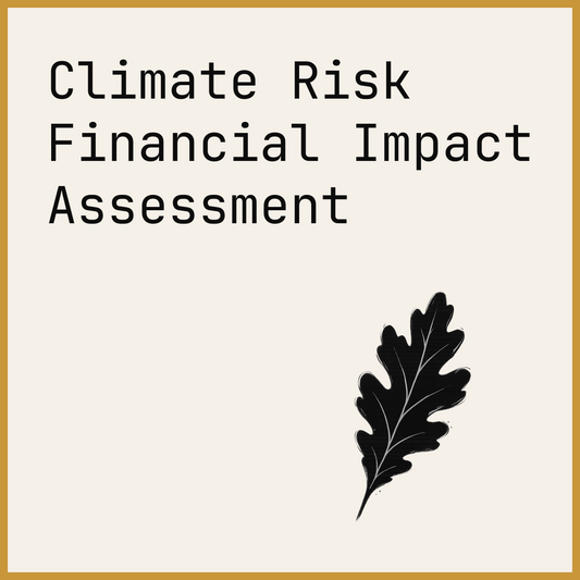 Climate Risk Financial Impact Assessment