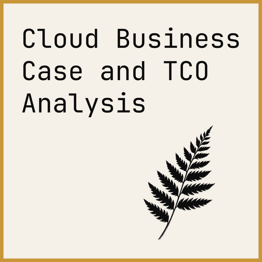 Cloud Business Case and TCO Analysis