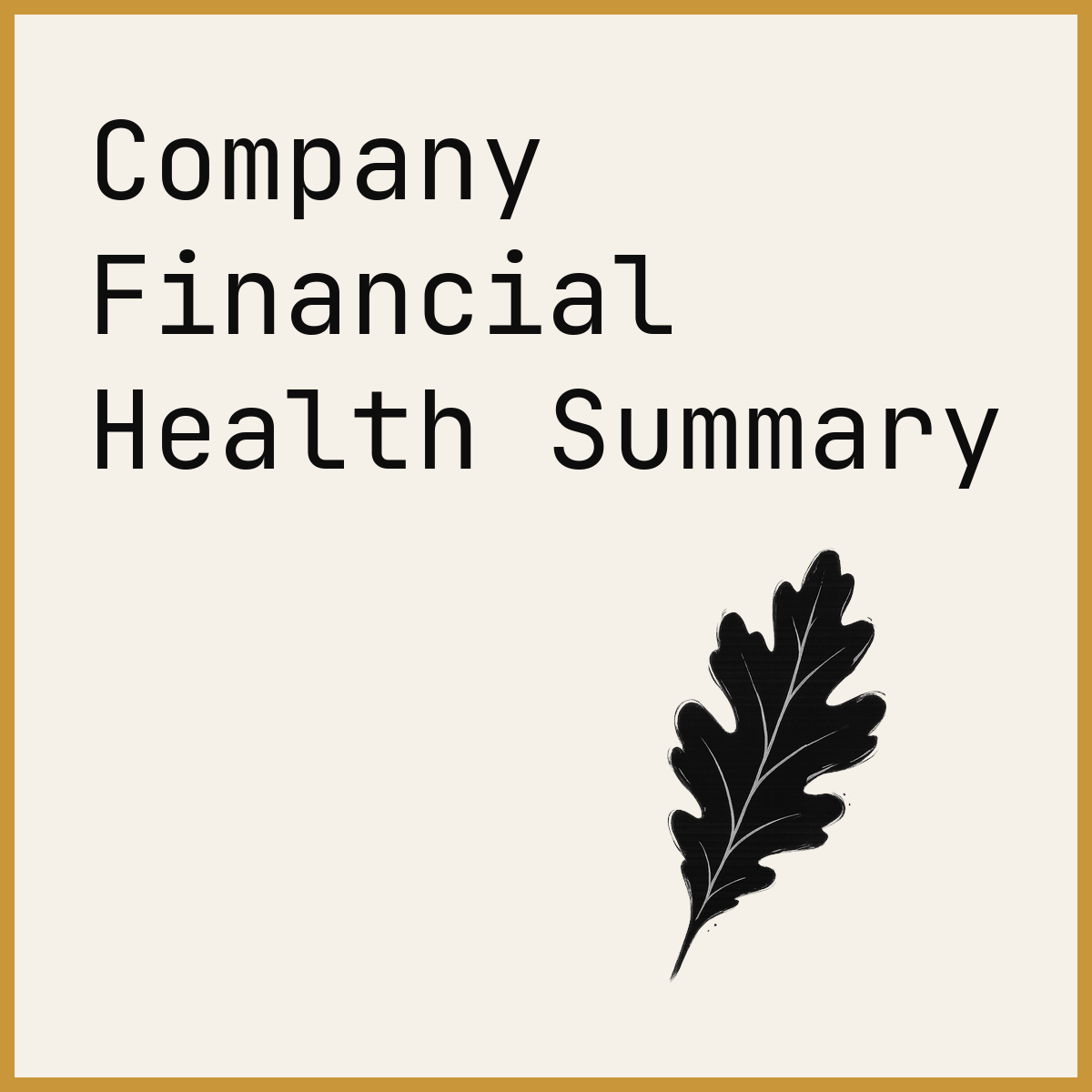 Company Financial Health Summary
