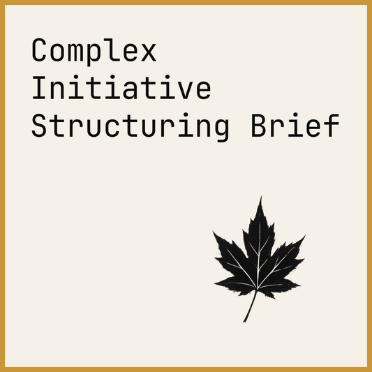 Complex Initiative Structuring Brief