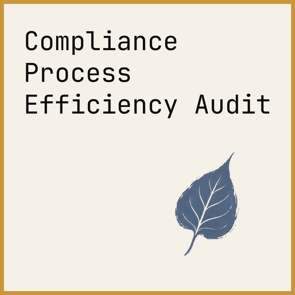 Compliance Process Efficiency Audit