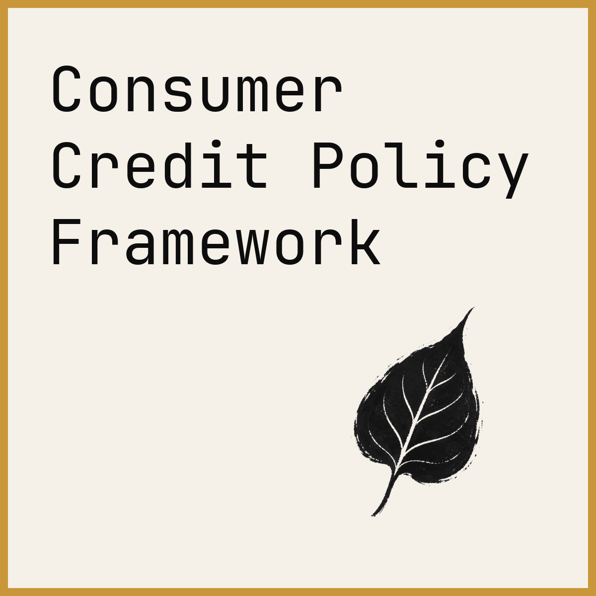 Consumer Credit Policy Framework
