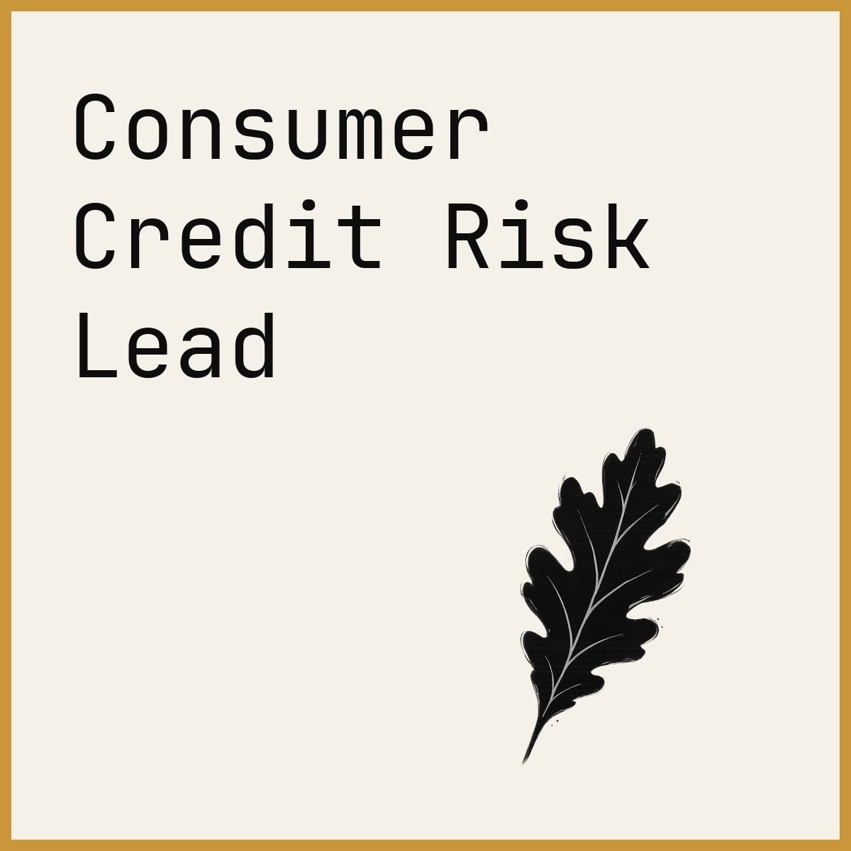Consumer Credit Risk Lead