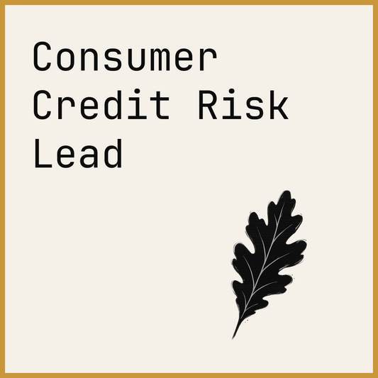 Consumer Credit Risk Lead