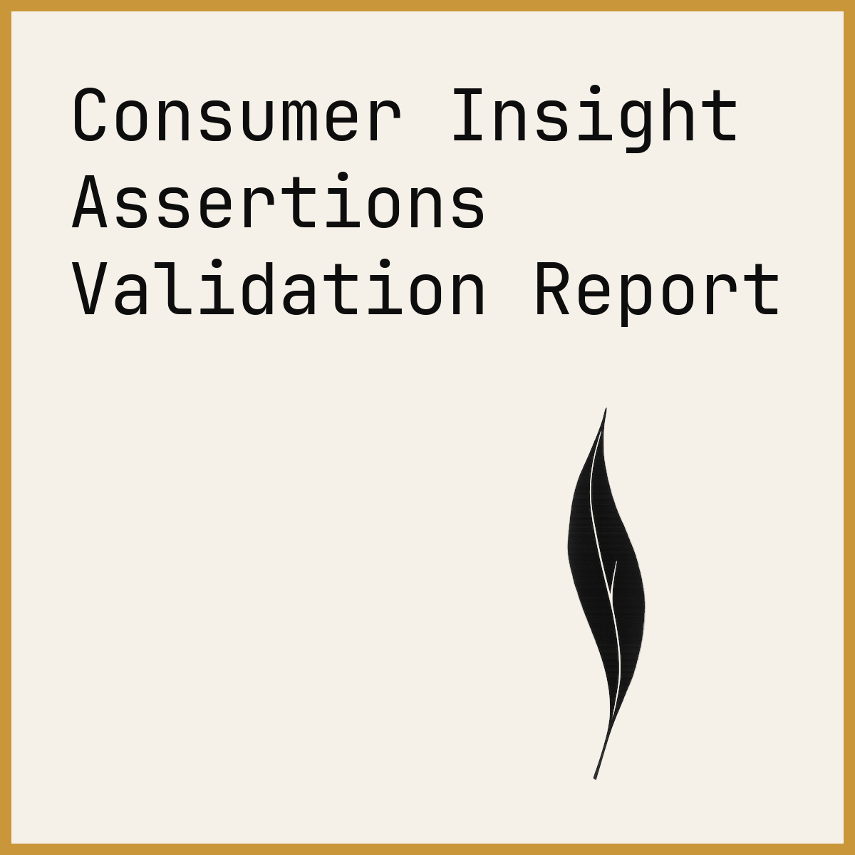 Consumer Insight Assertions Validation Report
