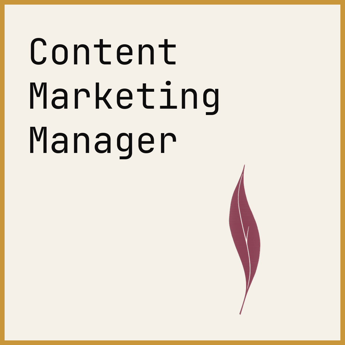 Content Marketing Manager