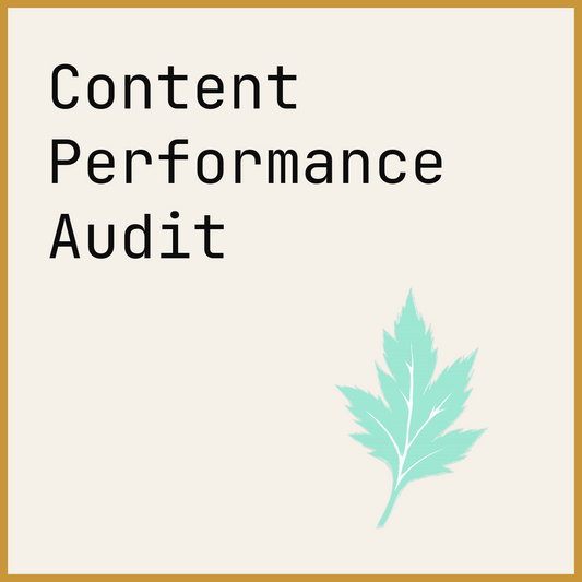 Content Performance Audit