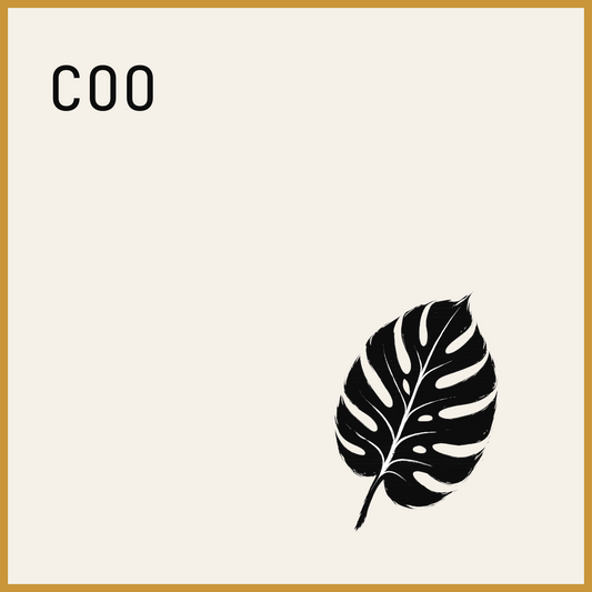 COO