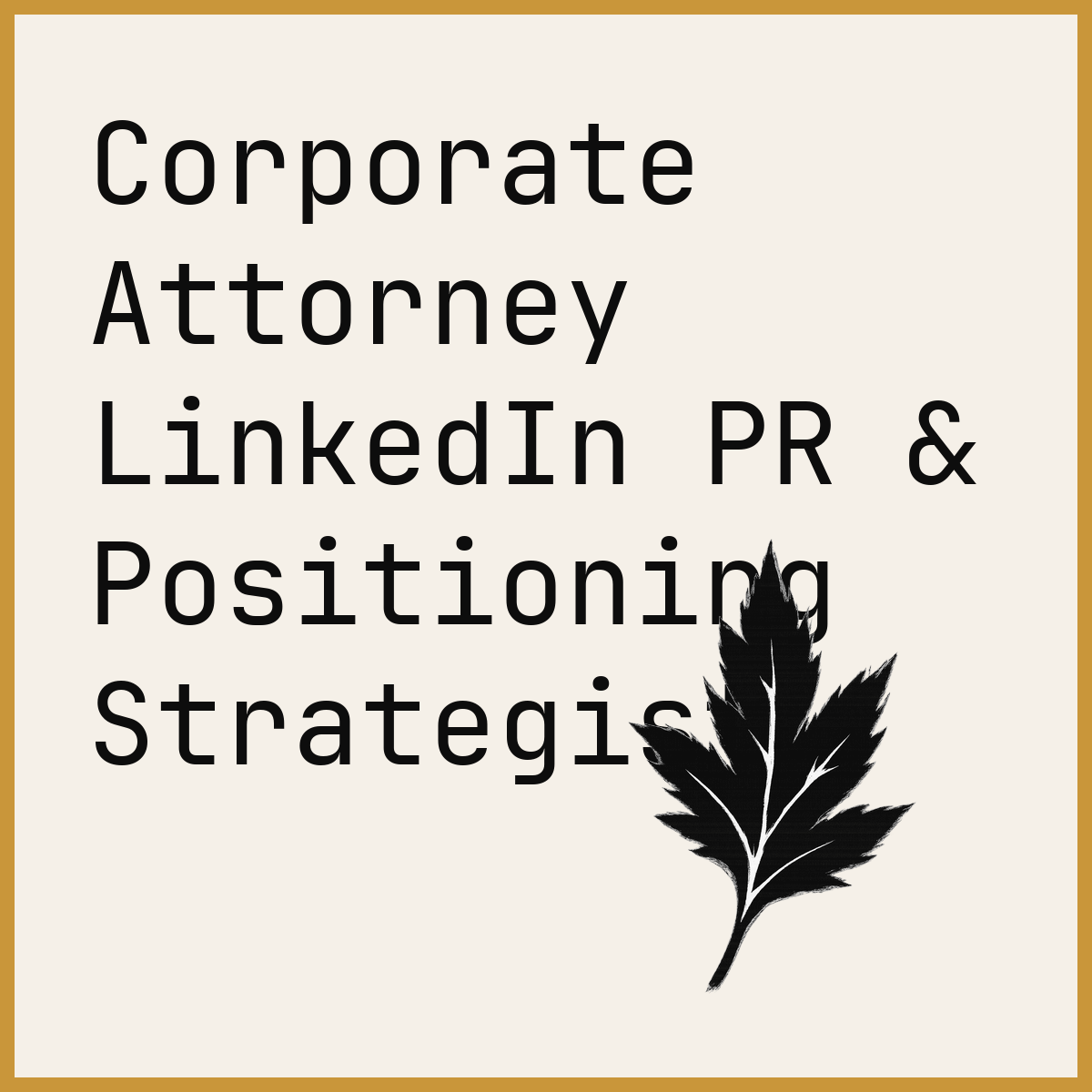 Corporate Attorney LinkedIn PR & Positioning Strategist