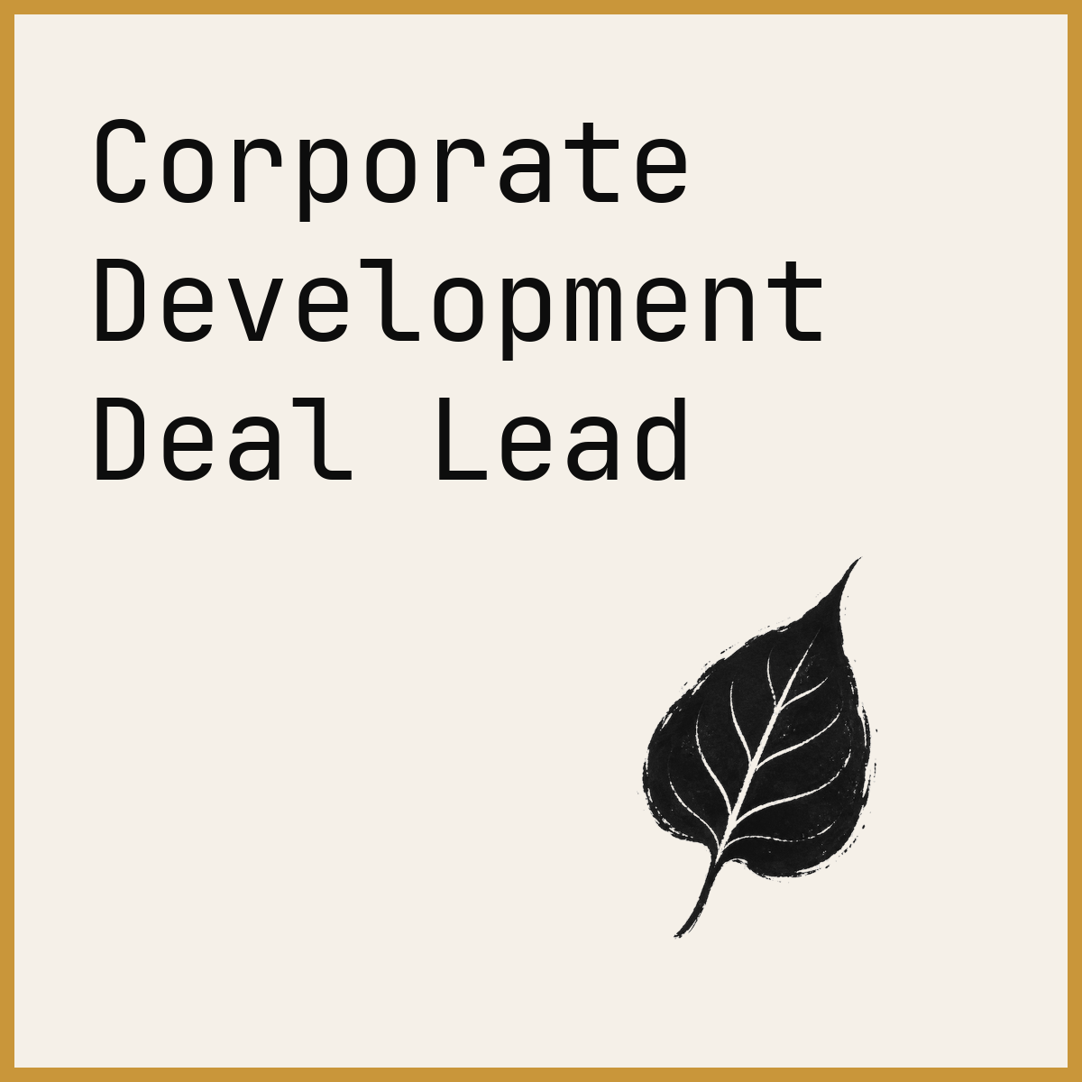 Corporate Development Deal Lead