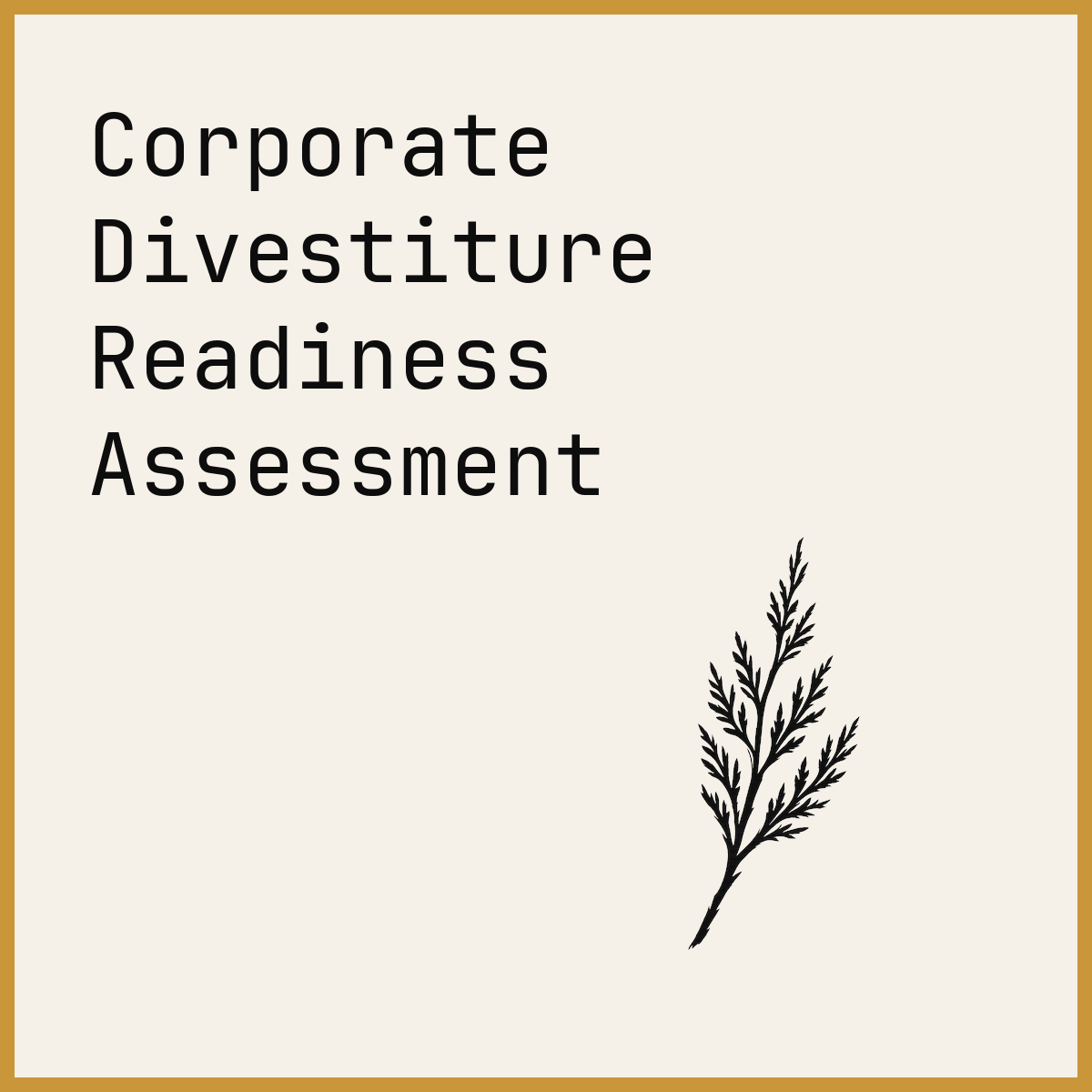 Corporate Divestiture Readiness Assessment