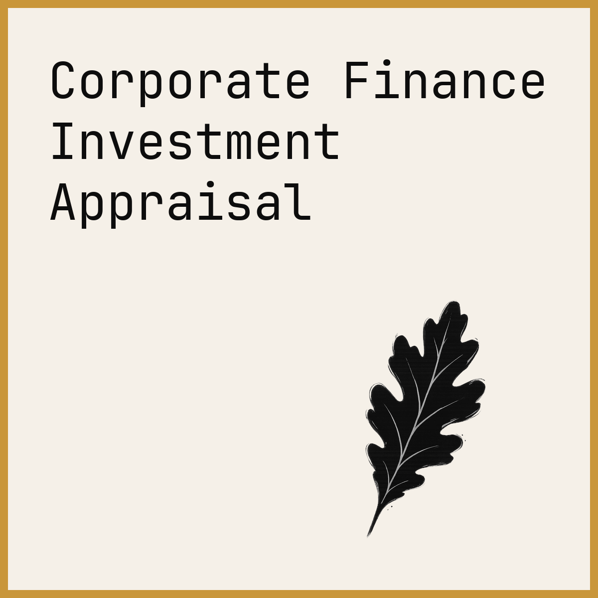 Corporate Finance Investment Appraisal