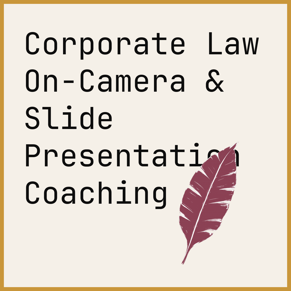 Corporate Law On-Camera & Slide Presentation Coaching