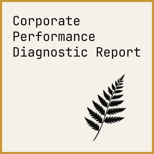Corporate Performance Diagnostic Report