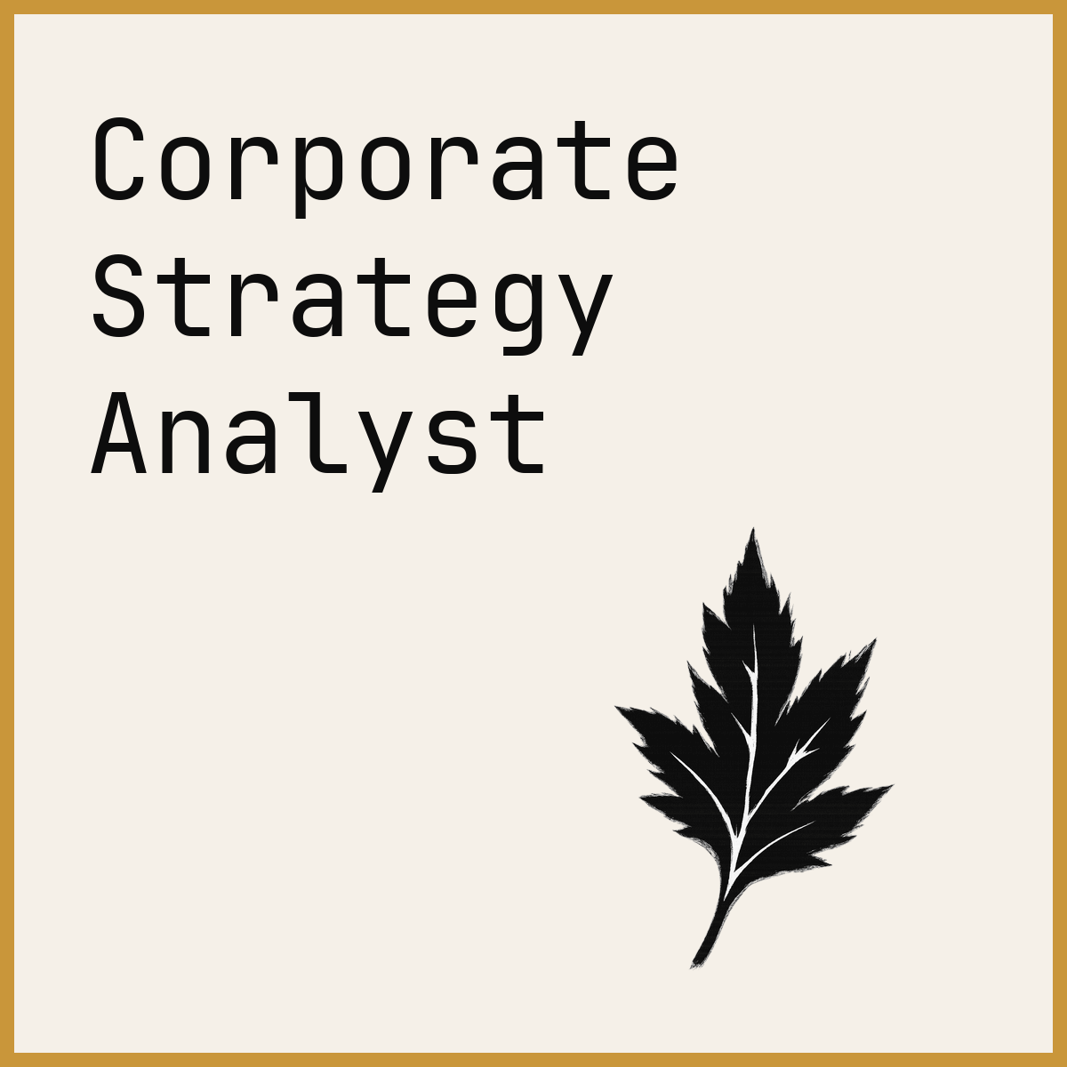 Corporate Strategy Analyst