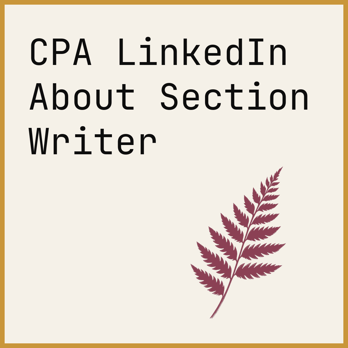 CPA LinkedIn About Section Writer
